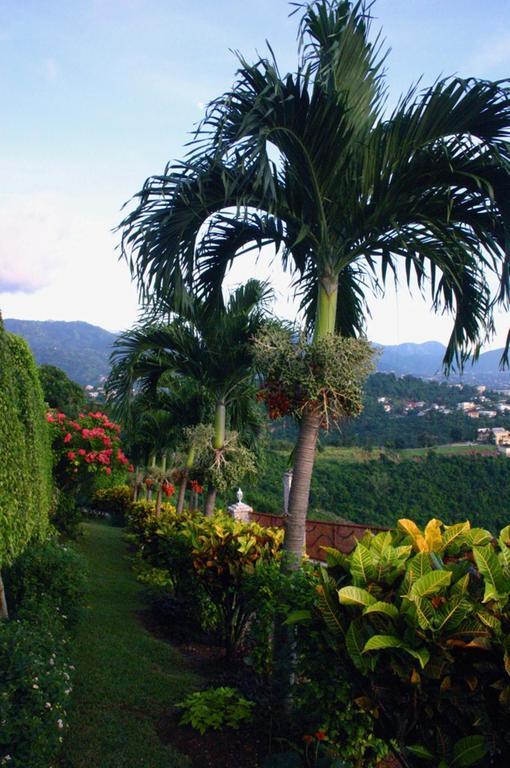 City View Hotel Kingston Esterno foto